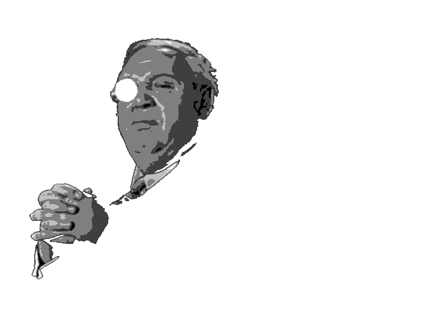testigodecine.com